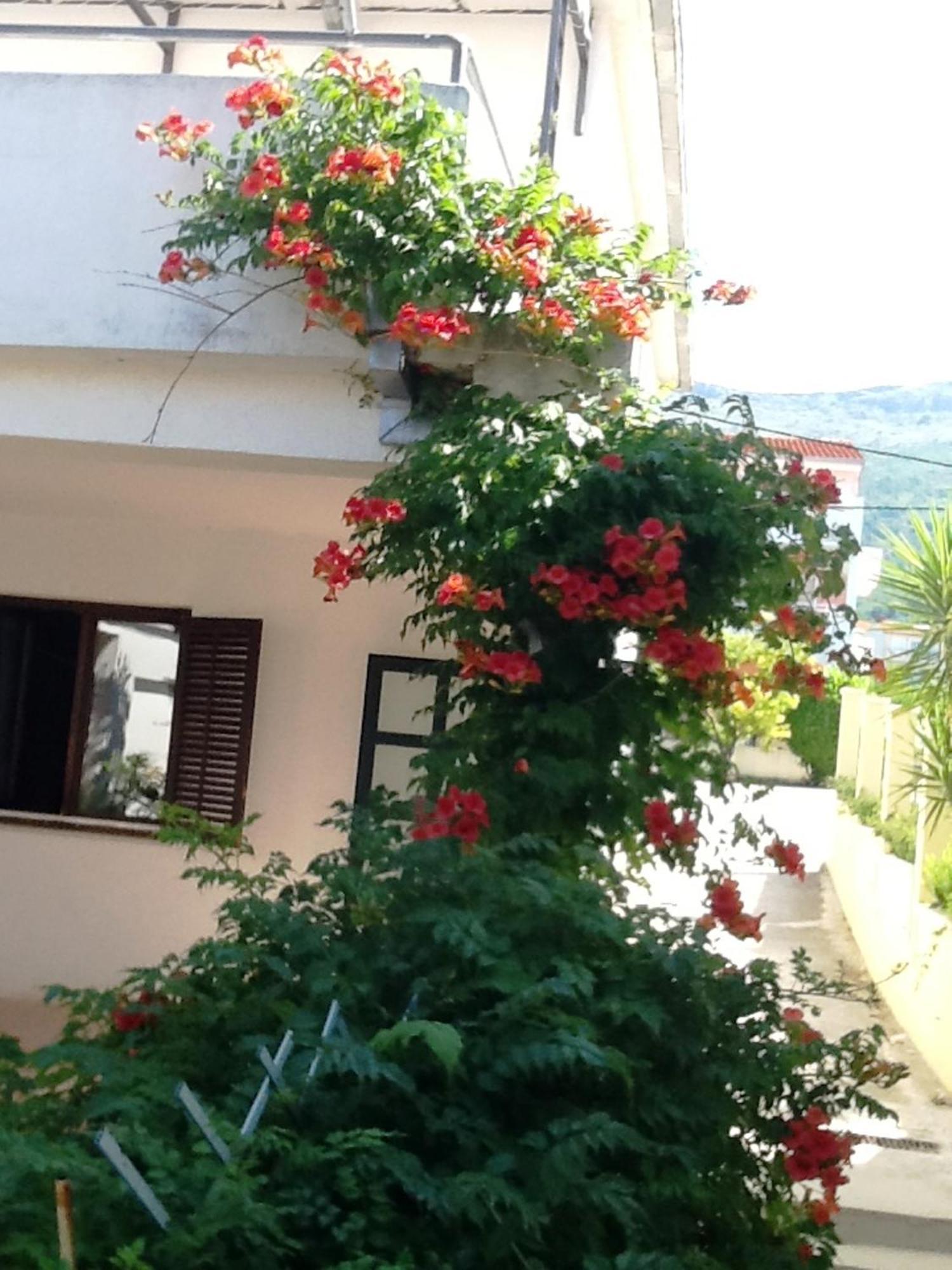 Villa Tamaris On The Beach Подстрана Стая снимка